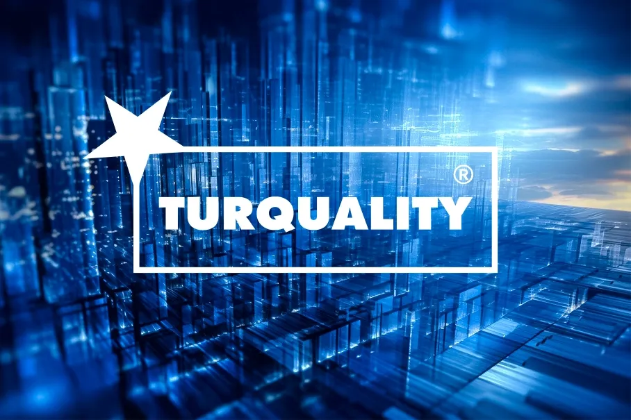 Türkiye Bilişim Sektörünün Uluslararasılaşması ve E-Turquality (Bilişimin Yıldızları) Programı