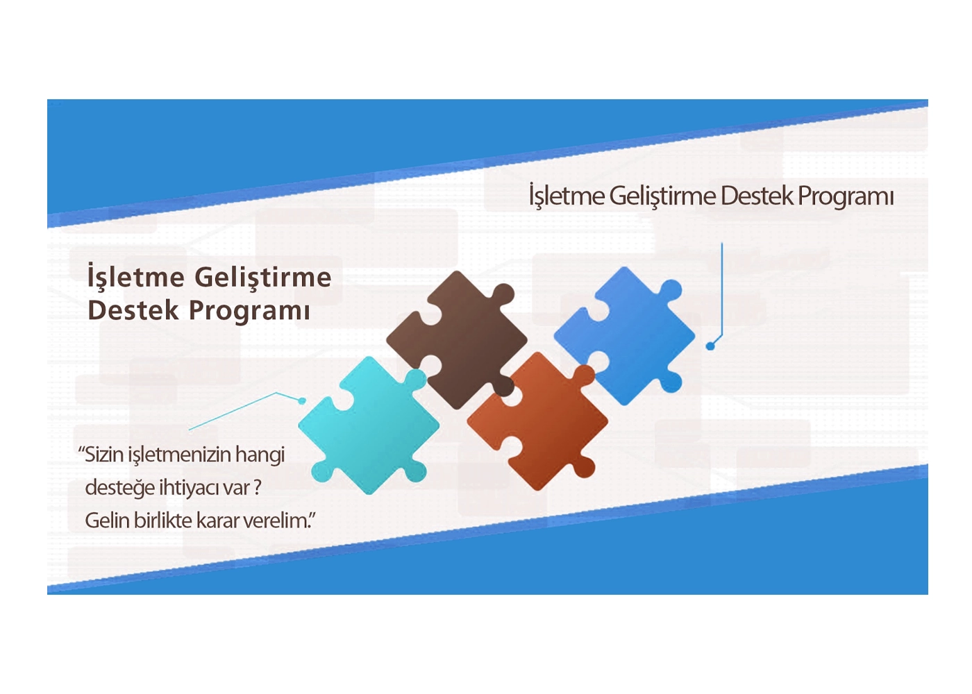 İşletme Geliştirme Destek Programı