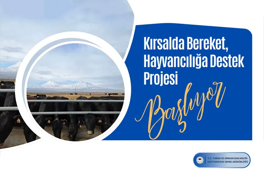 Kırsalda Bereket, Hayvancılığa Destek Projesi Nedir?