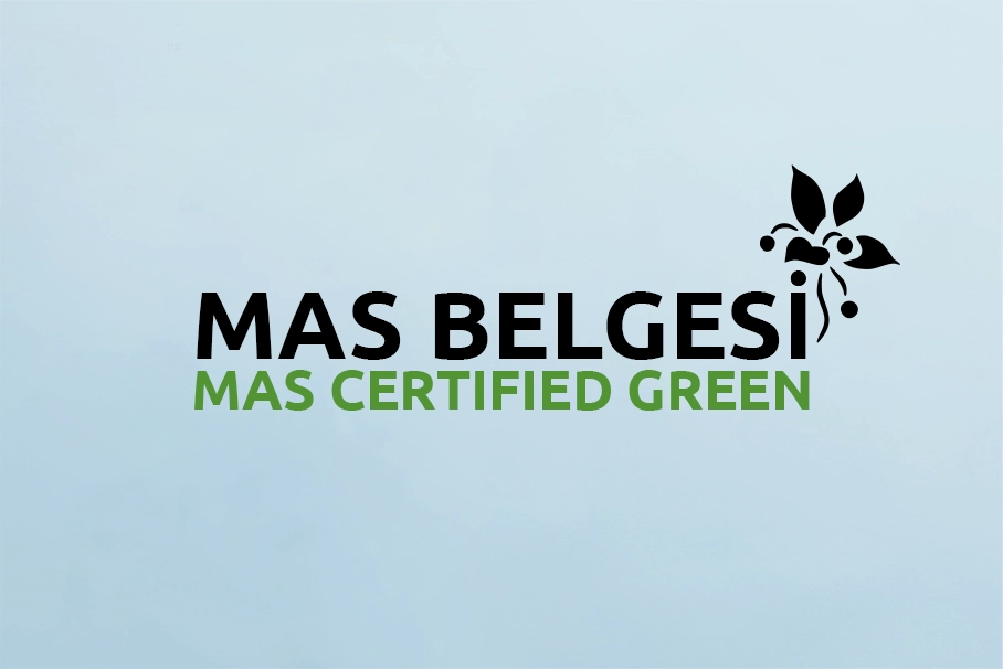 MAS Certified Green Sertifikası Nedir?
