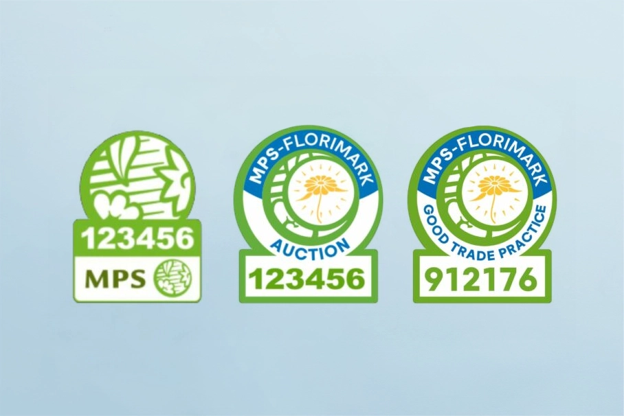 MPS - FLORIMARK TRACECERT Nedir?