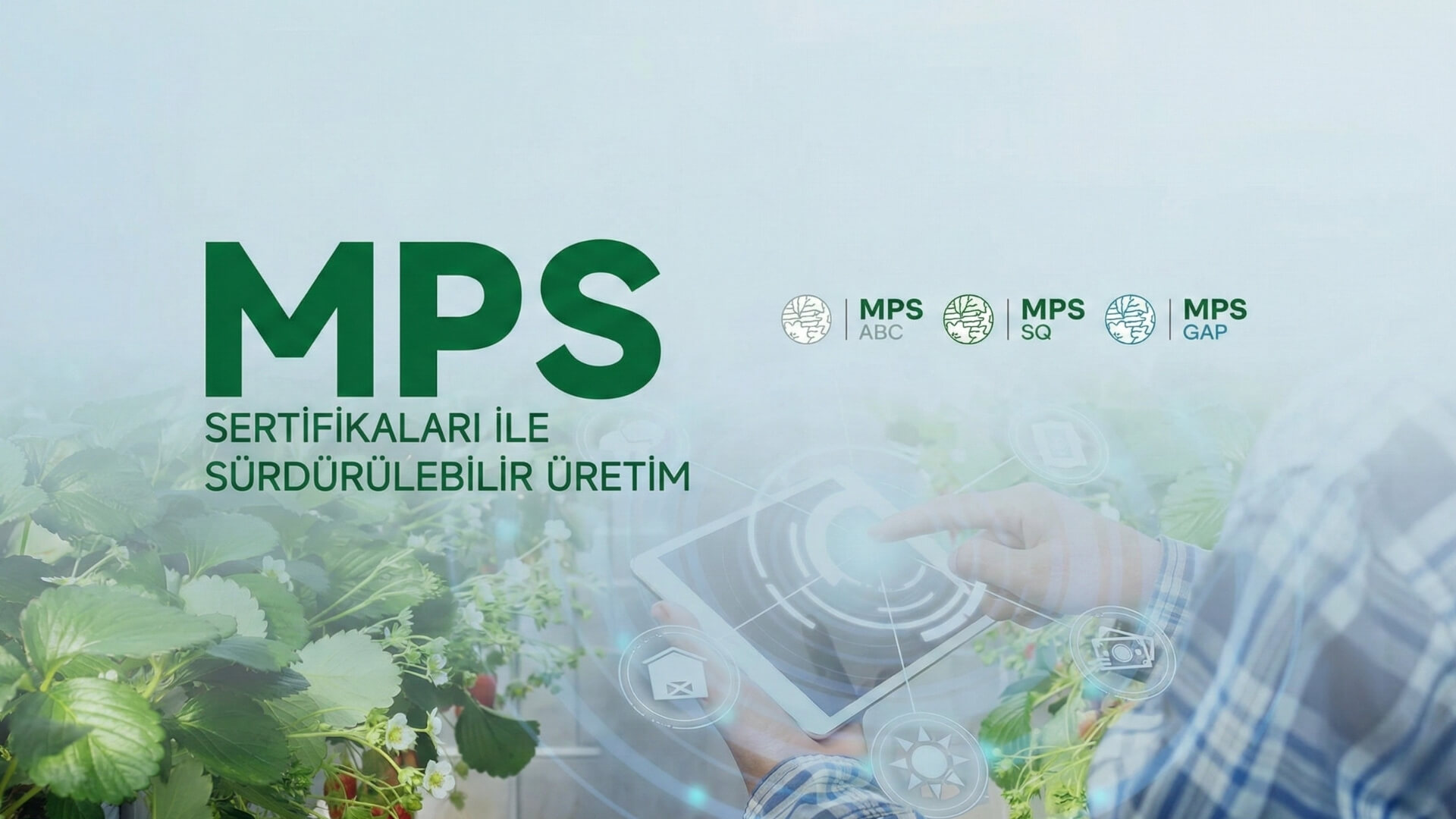 MPS Sustainable Quality Sertifikaları (MPS ABC, MPS GAP, MPS SQ, MPS Product Proof) Nedir?
