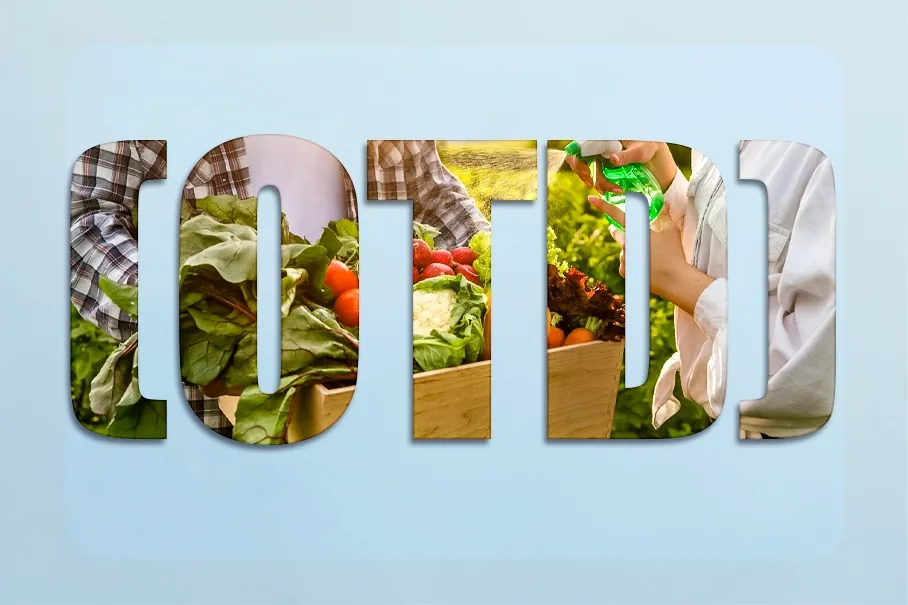 Organik Tarım Desteği (OTD) Nedir?