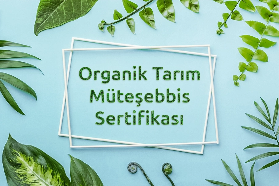 Organik Tarım Müteşebbis Sertifikası Nedir?