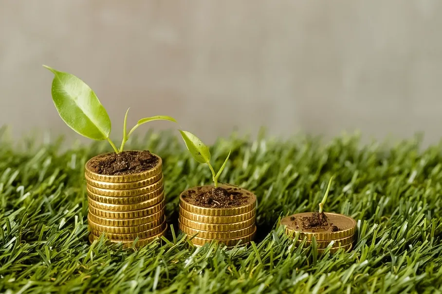 Yeşil Finansman Nedir?