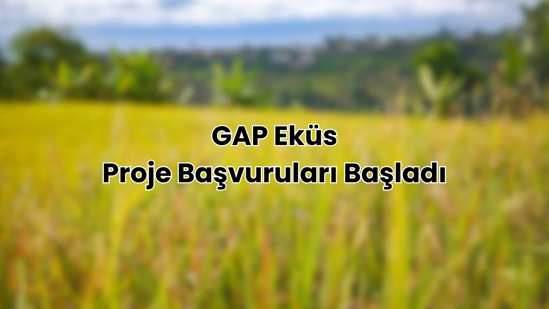 GAP Eküs Proje Başvuruları Başladı